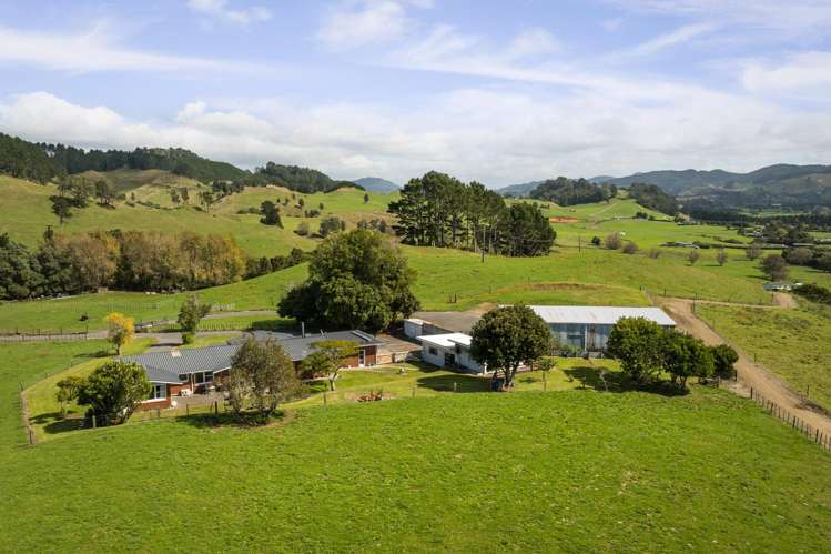 458 Trig Road North Waihi_32