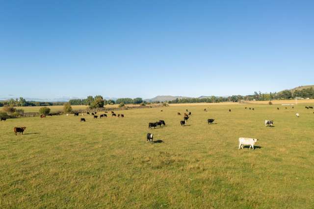 169 Hatuma Road Waipukurau_2
