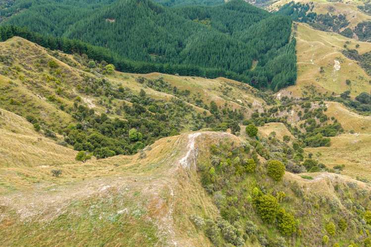 310 Branscombe Road Akitio_12