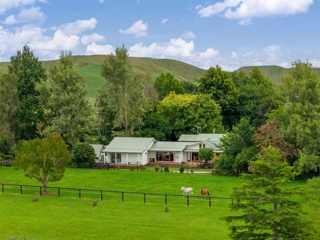 Timeless Style And Equine Dream