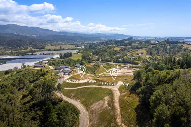 45 and 47 Pineview Way Motueka_1