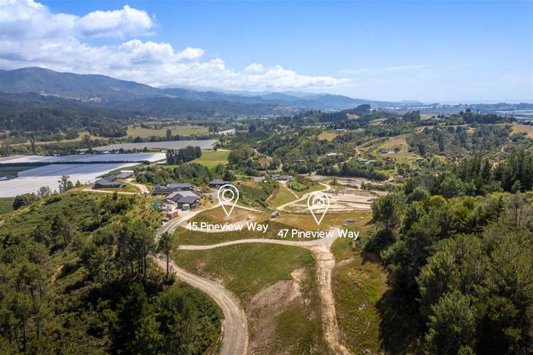 45 and 47 Pineview Way Motueka_1