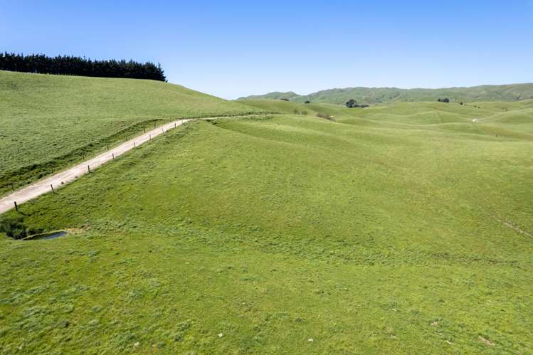 184 South Road No 2 Eketahuna_7