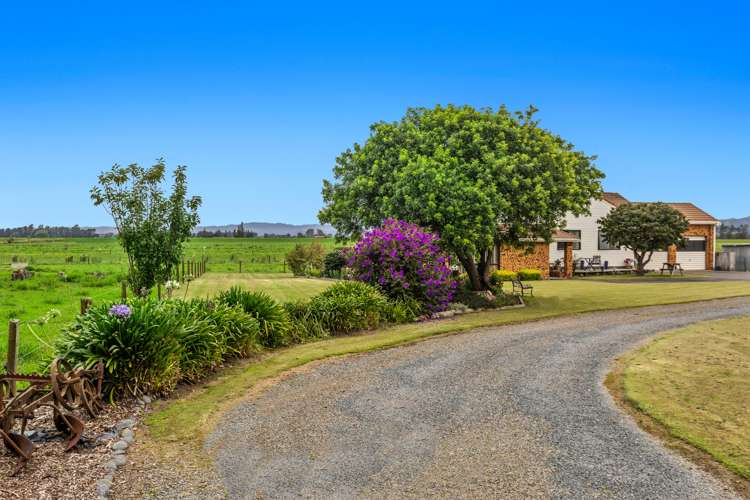 449 East Bank Road Edgecumbe_22