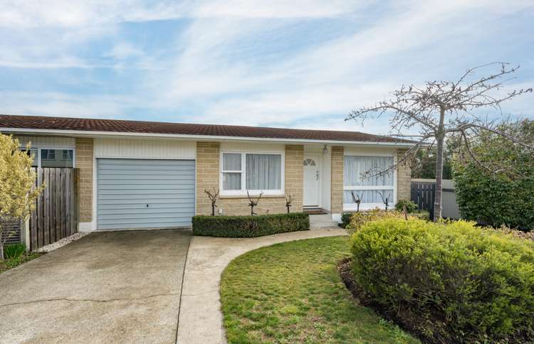 110 Nayland Road Stoke_2