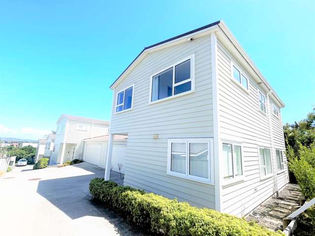51A Grassways Avenue Pakuranga_1