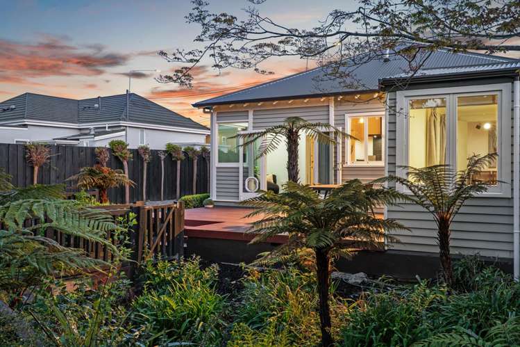 49 Holmwood Road Merivale_19