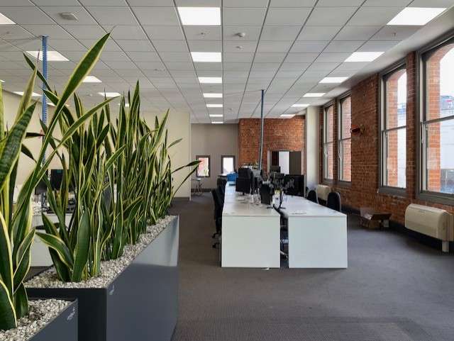 480 Moray Place Dunedin Central_2