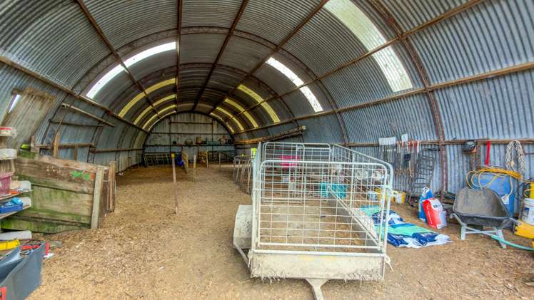 264 Matatoki Road Matatoki_15