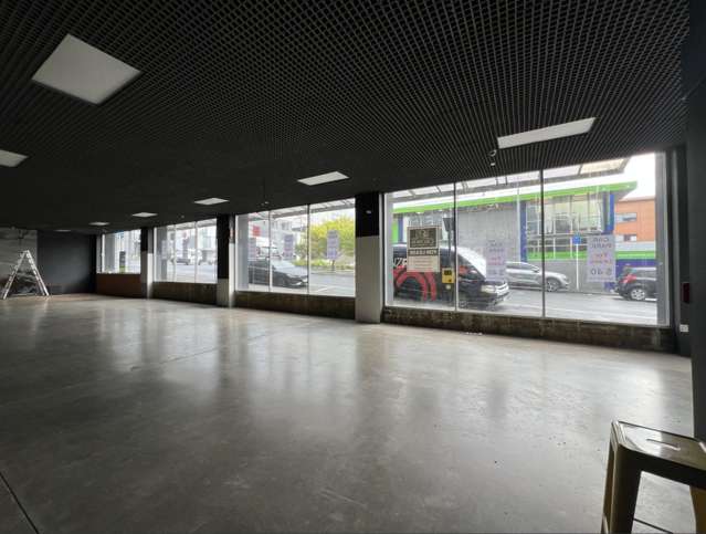 Ground/181 Vivian Street Te Aro_4