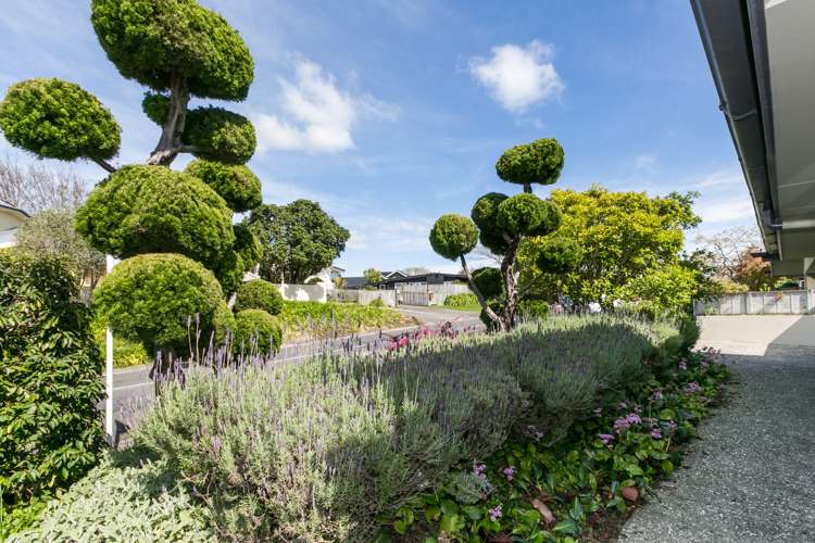 19 Gillean Street Havelock North_16