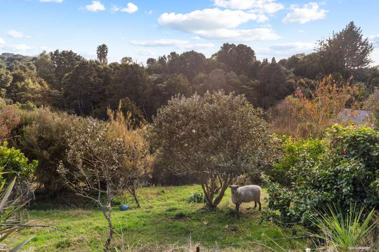 37B Harrisville Road Tuakau_17