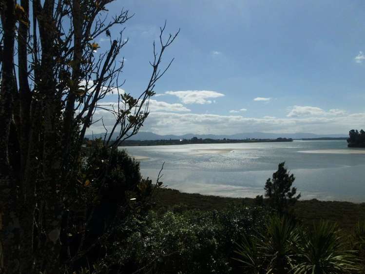 71 Princess Road Bellevue_11