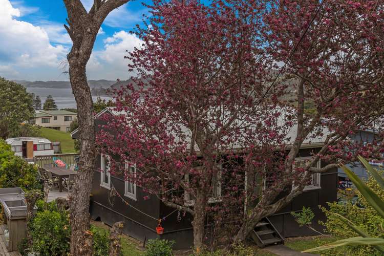 11 Leigh Road Leigh_21