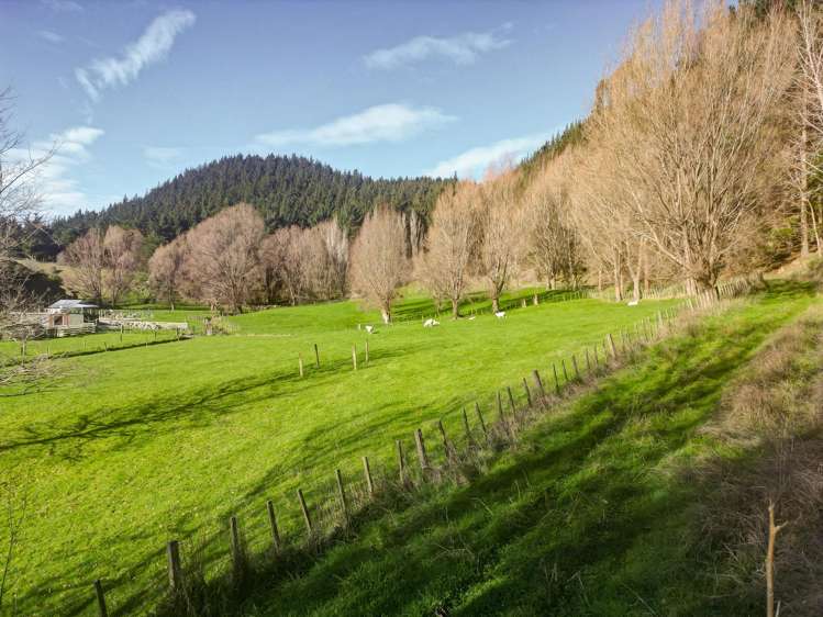 Kaukatea Valley Road Okoia_9