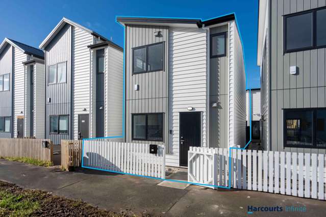 Brand New, Dual-Income Potential