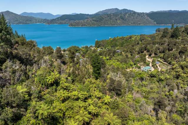 Double Bay, Reatihi Marlborough Sounds_4
