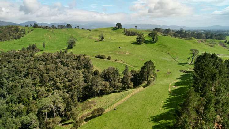 717 Wright Road Aongatete_22