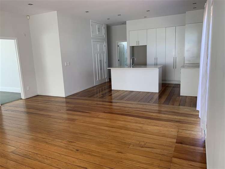 62 Pah Road Royal Oak_8