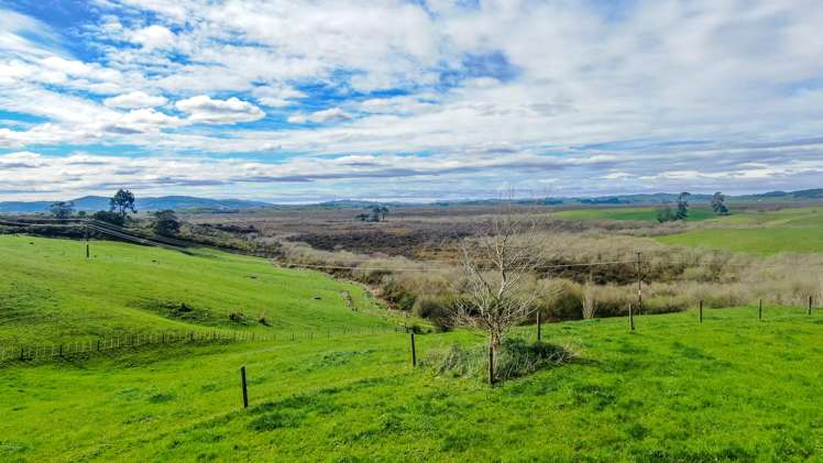 407 Island Block Road Te Kauwhata_5