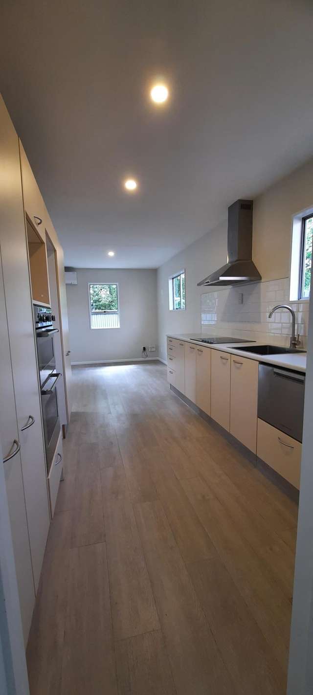 11 Hutcheson Street Sydenham_1