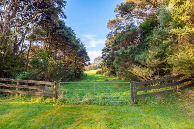 16 Stevensons Crescent Albany_2