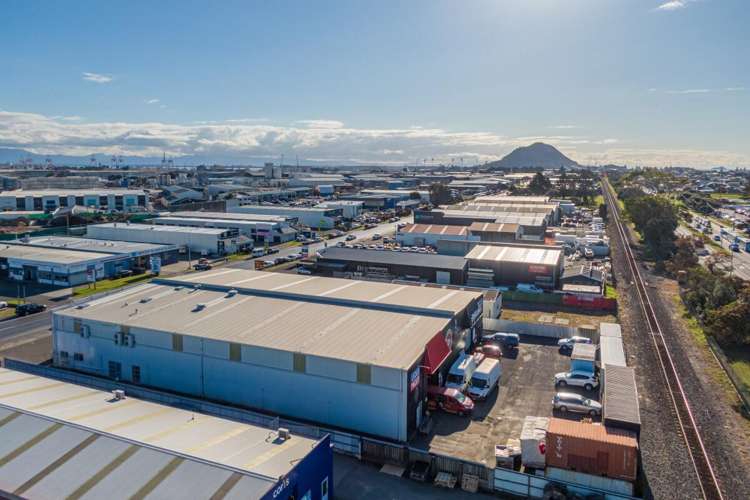 131 Newton Street Mount Maunganui_8