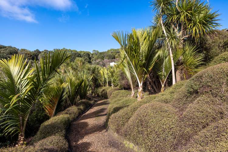 209 Delamore Drive Oneroa_25