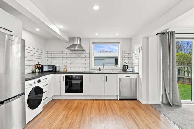 17 Bletsoe Avenue Spreydon_4