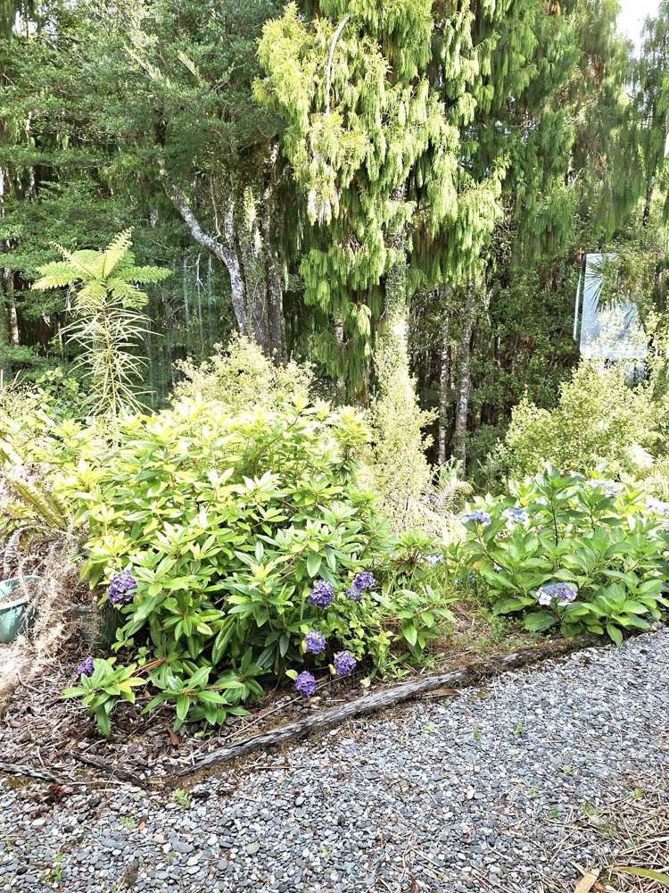 17 Fairburn Way Charleston_22