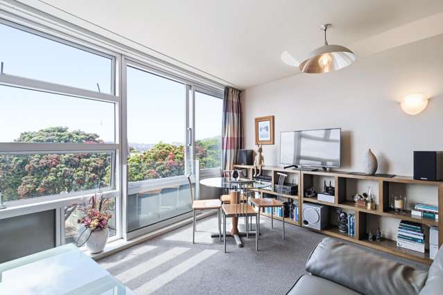 28/43 Mulgrave Street Thorndon_3