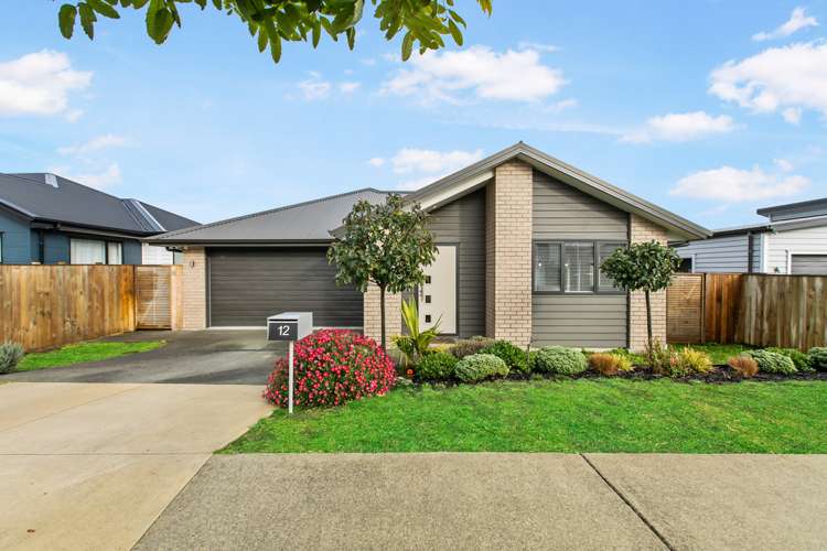 12 Pakaraka Drive Papakura_0