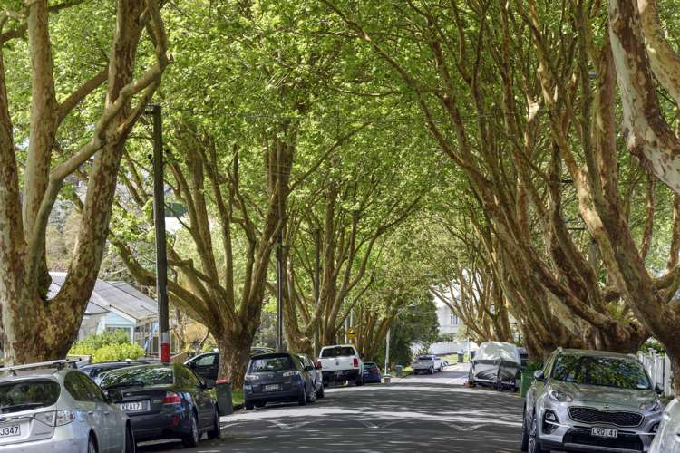 31 Hakanoa Street Grey Lynn_23