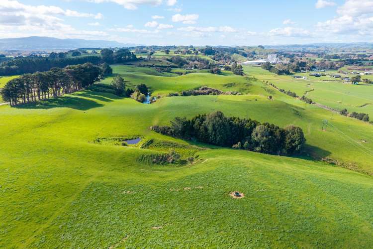 493 Scarborough Road Pahiatua_18