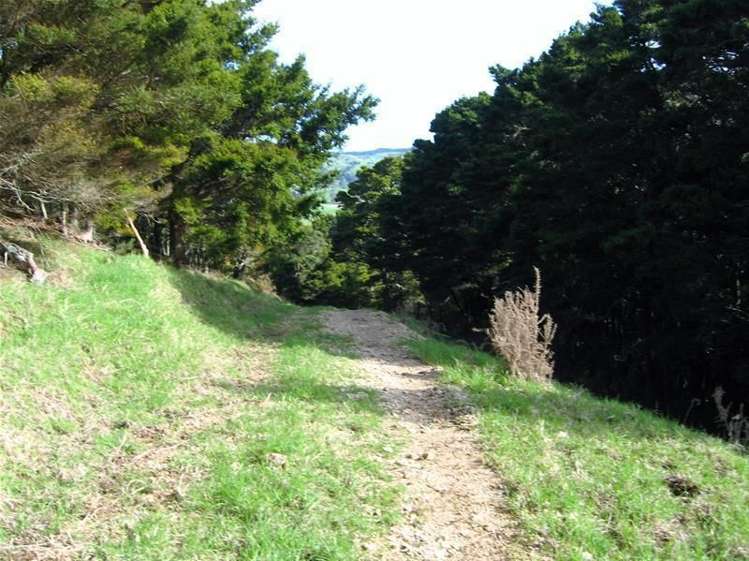 248 Swamp Road Mareretu_8