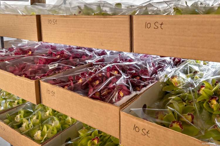 80 Orere-Matingarahi Road Orere Point_9