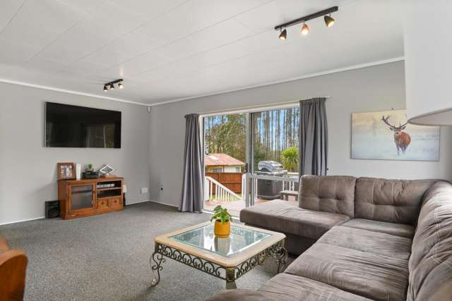 19A Augustus Earle Place Pukehangi_1