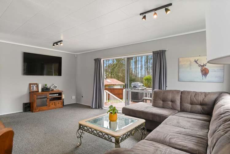 19A Augustus Earle Place Pukehangi_1