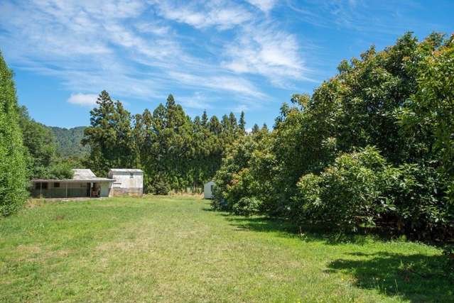 311 Rea Road Hauraki Surrounds_3