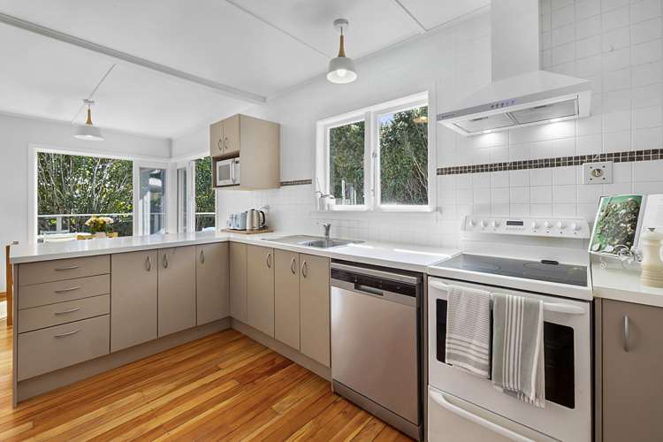 1 Clyde Street Ferndale_6