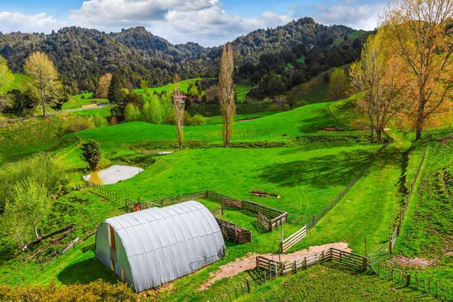 162 Okahukura Saddle Road Matiere_2