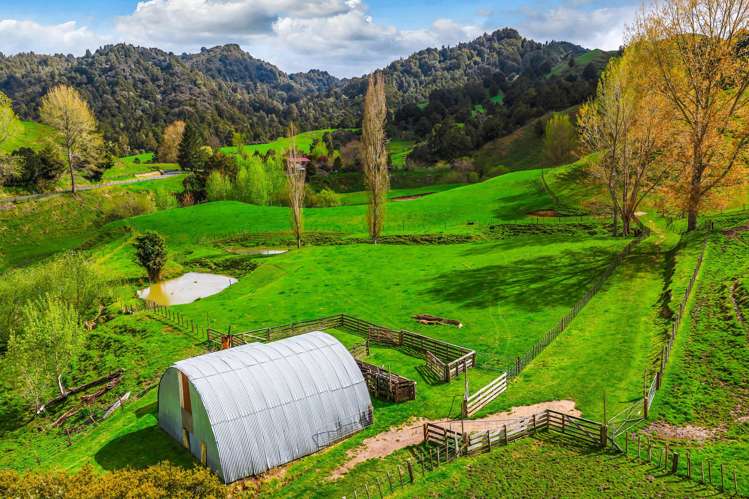 162 Okahukura Saddle Road Matiere_2