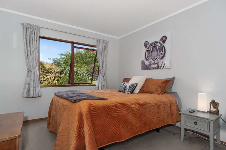 473 Old Highway Whakamarama_16