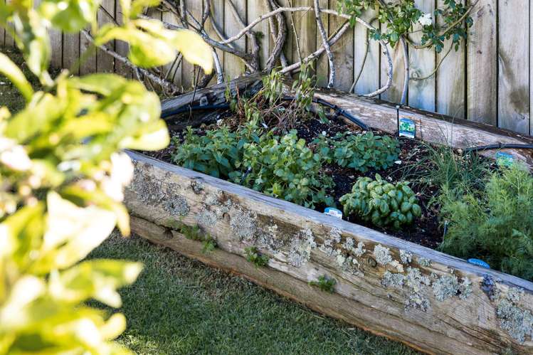 3 Westmoreland Street East Grey Lynn_13