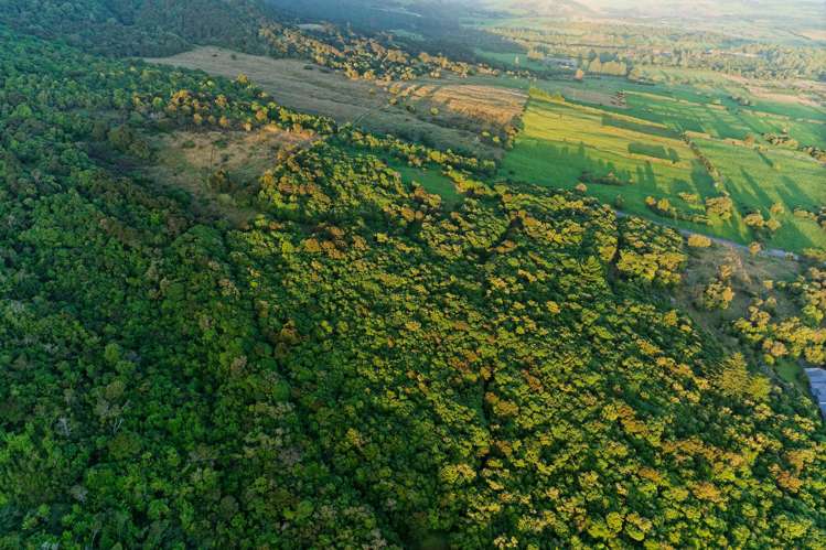 759 Mount Fyffe Road Kaikoura Flat_6