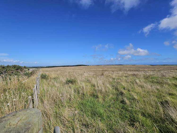 1 Basin Road Dargaville_8