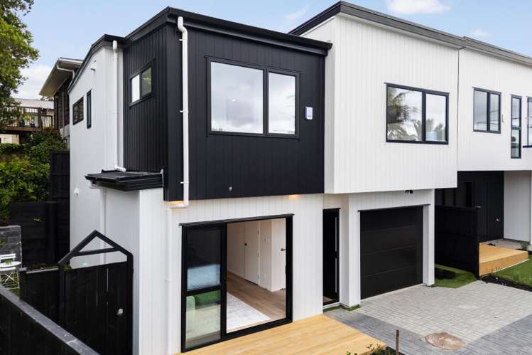 27E Seaview Terrace Mt Albert_0