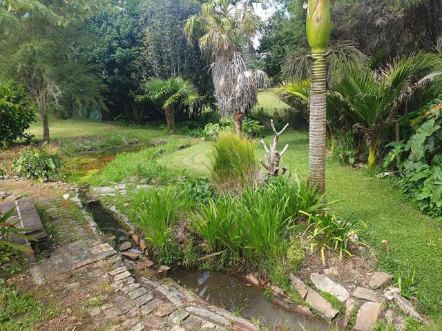 1246 Whangapoua Road SH25 Te Renga Te Rerenga_4