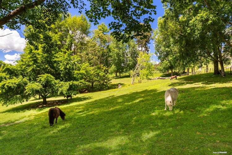 61B Pratts Road Drury_29