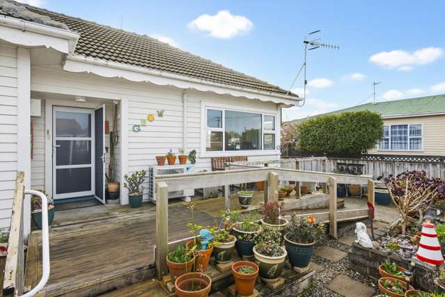 61 Salisbury Street Levin_1